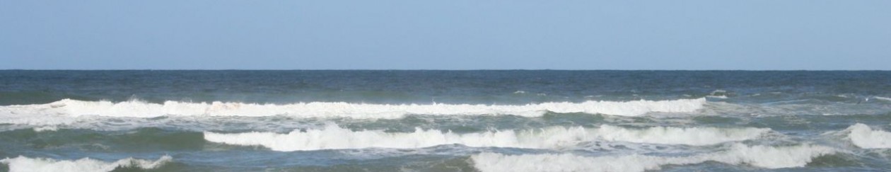 Westling Family: Our life living in Sydney