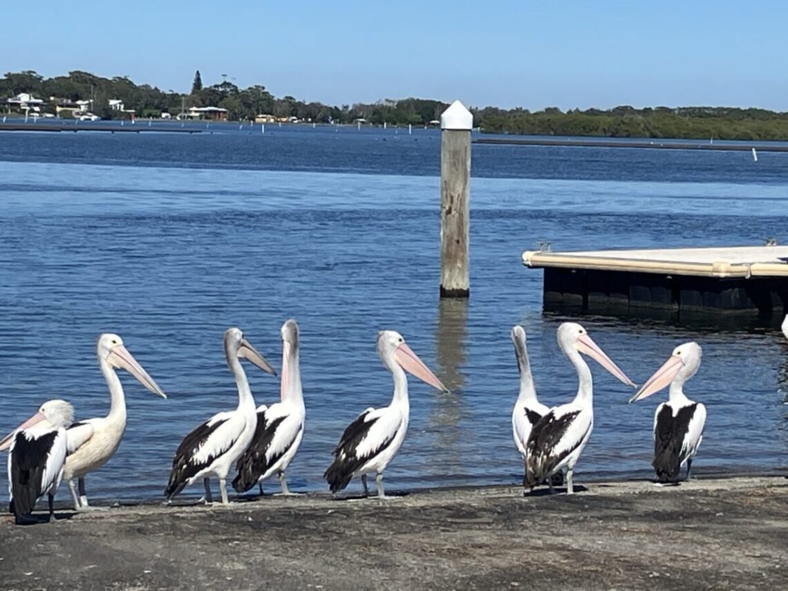 More Port Stephens, avoiding Cyclone Alfred