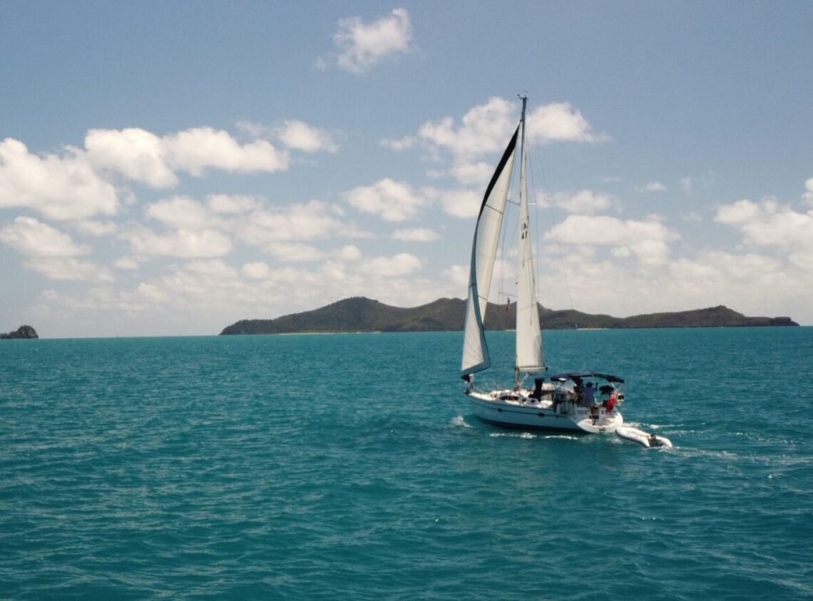 Snorkelling, snakes, storms and visitors